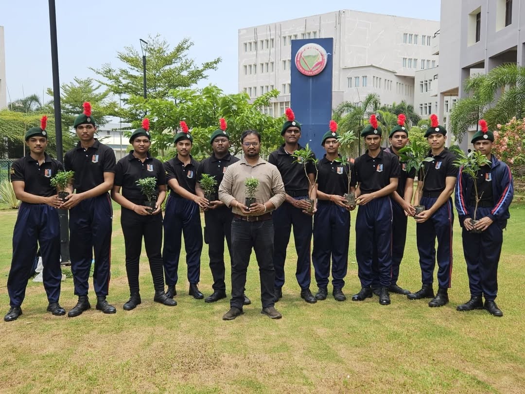 Tree Plantation